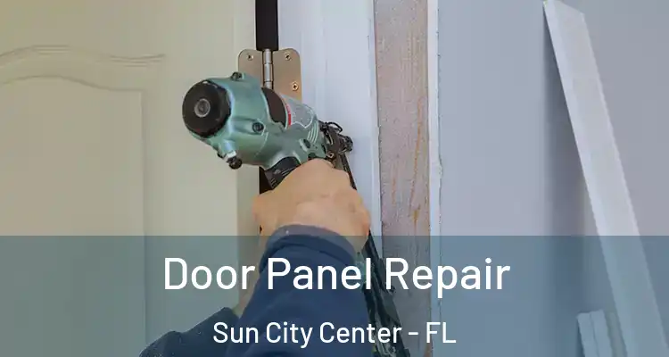  Door Panel Repair Sun City Center - FL