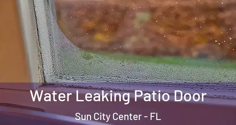  Water Leaking Patio Door Sun City Center - FL